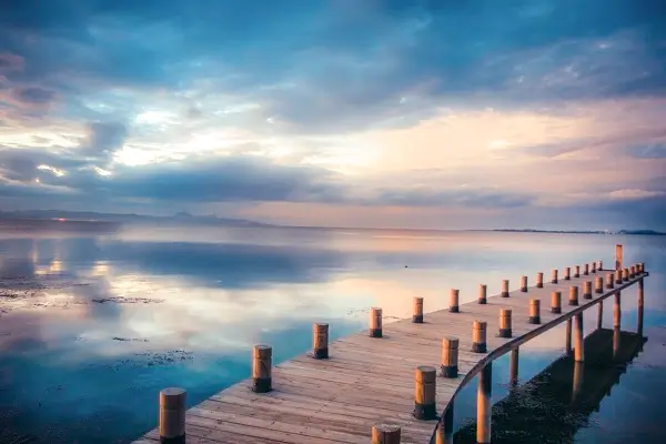 中南大学粟亚亚简介