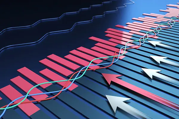 东华大学宋丽金简介